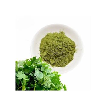 Suppliers high quality coriander leaf powder pure natural organic - DCR Harvest LLC  - United States