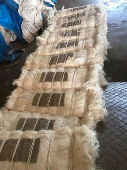 UG / SSUG Sisal Fiber UG Grade 1 from Kenya Grade Grade A Length 110cm-130cm Place of Origin kenya Moisture Content 6%-9% - Agro Grain Ventures Limited - Kenya