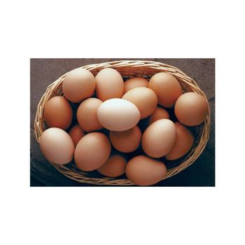 Frozen Fresh Halal Lamb Meat / Sheep Meat / Goat Meat Packaging Bulk Grade High Quality Brand Name DCR Harvest - DCR Harvest LLC  - United States