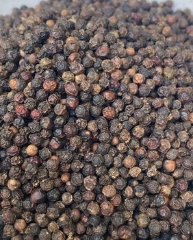 BLACK PEPPER 500gl 550 gl FOR SALE