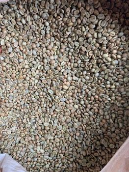 Robusta Coffee Beans and Arabica Coffee (High Quality) - Glacier Group Company Limited - Tanzania