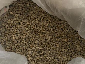 Yellow Bourbon Weight (kg) 1 kg Variety Peaberry Altitude 1800 Meters Processing Type Honey Max. Moisture (%) 12% Sweetness Caramel-like - Premium Coffee Bean - Indonesia