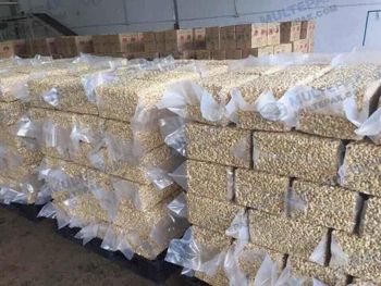 Premium Raw Cashew Nuts for Sale – Raw & Kernels – product photo, Fried Cashew Nuts products found from trusted suppliers, wholesalers, manufacturers & exporters Listing