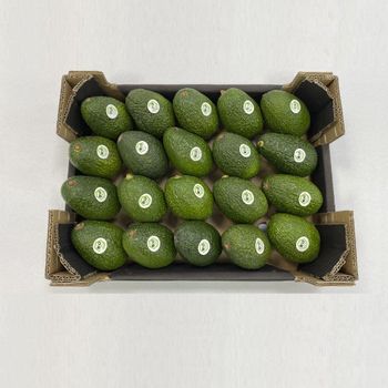Fresh Hass Avocado / Avocados 4.5kg box – product photo, Hass Avocados products found from trusted suppliers, wholesalers, manufacturers & exporters Listing