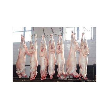 FRESH FROZEN GOAT MEAT / MUTTON MEAT / LAMB MEAT CARCASS FOR SALE - DCR Harvest LLC  - United States