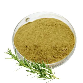 Rosemary Powder Texture Finely Ground Antioxidant Content High Primary Active Compound Rosmarinic Acid Health Benefit Supports Brain Function, Hair Strength, And Vitality - Frist day  - Egypt