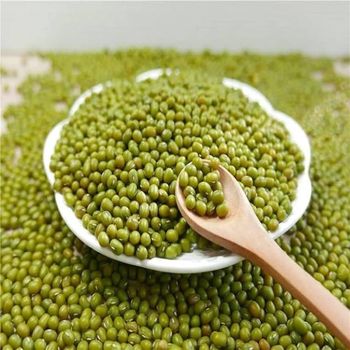 Mung Bean Grade Top Quality Grade Packaging As Per Buyer - TC-MONTAGEM INDUSTRIAL LTD - Brazil
