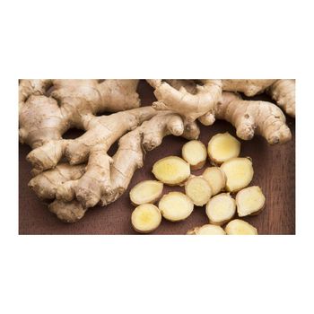 High quality new crop fresh ginger wholesale prices - DCR Harvest LLC  - United States