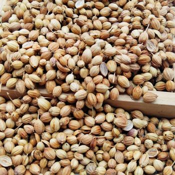 High Quality Coriander Seeds 100% Organic Maximum Selling Natural Dried Vegetable Seeds MOQ & Bulk Supplier - DCR Harvest LLC  - United States