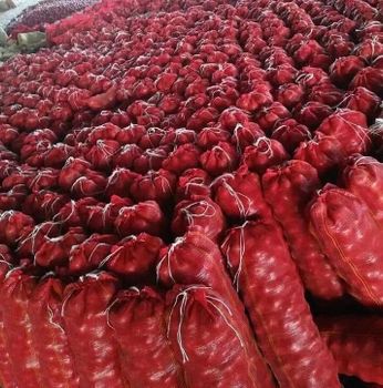 Onions – product photo, Mixed Fresh Vegetables products found from trusted suppliers, wholesalers, manufacturers & exporters Listing