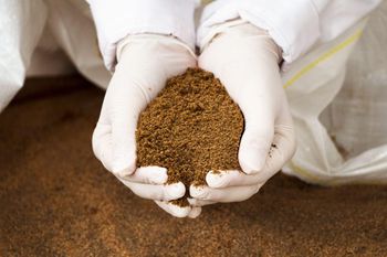 Fishmeal 60% Salinity 3% Max Shelf Life 2 YEARS Ash Content 25% Max Tvbn Content 130 Max Sand Content 0,5% Max Protein Content 60% Min -  DAEWKAEW PANTAMANG Co., Ltd - Thailand
