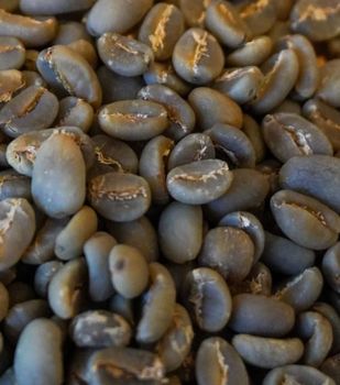 Premium Arabica Java Preanger - Organic unroasted green coffee beans for export – product photo, Unroasted Green Coffee Beans products found from trusted suppliers, wholesalers, manufacturers & exporters Listing