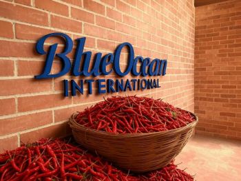 Dry Red Chillies (Teja, Sannam, Kashmiri and Byadgi) Length 5 To 8 Cm, 6 To 9 Cm Packaging 25/50 KG BAGS OR AS PER REQUIREMENTS - Blue Ocean Group Of Companies - India