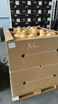 Butternut Squash (1 Ton) 1000 kg Color Orange Origin South Africa Texture Smooth And Firm Farming Practice Ethical - PPM AGRO - South Africa