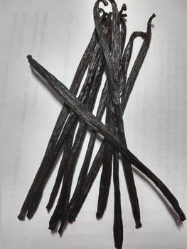 vanillla past Purity 100% Packaging VACCUM Max. Moisture (%) 33 Extract Grade 2x Grade Us Vanilla Type Vanilla In Beans Annual Past Production 1000 Kg - Chasseurs de Saveurs SA de CV - Mexico