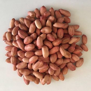 PEANUTS from AGRO AFRIQUE COMPANY LIMITED PEANUTS - AGRO AFRIQUE COMPANY LIMITED - Tanzania