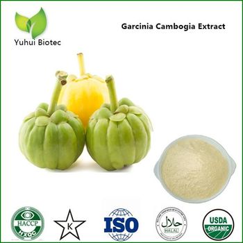 Garcinia Cambogia Extract with 50% Hydroxycitric Acid - xian yuhui biotechnology co.,ltd - China