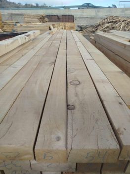 Cedar wood for venners , carpentry , structural ,luxury home design , Moroccan Cedar wood export high quality . - Abudubu LLC - Poland