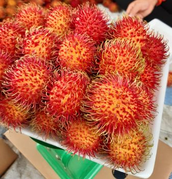 Rambutan - CHAU DO JOINT STOCK COMPANY - Global