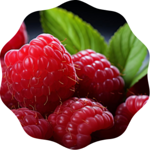 Raspberry Texture Firm Variety Adelita Aroma Exquisite Fruit Size Large Color Intense Red Core Solid And Edible Acidity Slight - Pomona - Mexico
