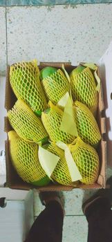 Sindhri, chaunsa , Late sindhri, Late chaunsa Packaging 8kg Grade A1 Quality Place of Origin Pakistan at Farm Variety Sindhri, Chaunsa, Mousmi Chaunsa, Late Chaunsa, Late sindhri, Azeemo Chaunsa, Anwar - ZARQ Fruits - Pakistan