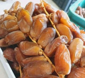 Tunisian Deglet Nour Dates for Export - NTIRI_DATTES Export Solutions  - Tunisia