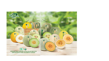 Organic Musk Melons (USDA-NOP ORGANIC & JAS ORGANIC certifications) - DANNY GREEN - Vietnam