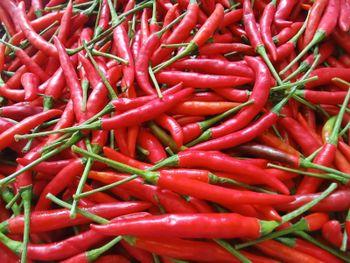 Fresh Chili Pepper Quality Grade Grade A Country Of Origin - MBMT Co., Ltd. - Myanmar