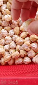 Candlenut (Aleurites Moluccanus) Place of Origin Medan Packaging Bag, Vacuum - PT NAMORA TANOTA INDOGLOBAL - Indonesia