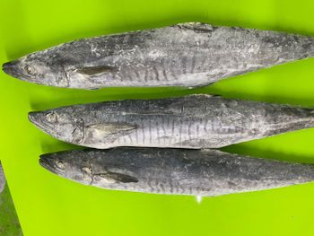 King Fish, Black pomfret, Octupus, Milkfish, Catfish, Gurame, Pengasus fillet, Emperor Fillet, Barramundi Fillet, Red snapper, Squid, parrotfish,  - PT.PKM Marketing Ventures - Indonesia