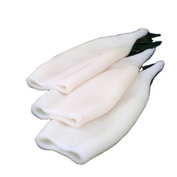 Best selling frozen whole squid cleaned from vietnam - TANIS IMPORT & EXPORT COMPANY LIMITED - Vietnam