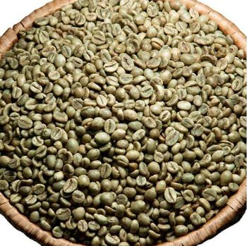 High Grade Vietnam Robusta Green Coffee Beans Fresh Crop – product photo, Long Green Beans products found from trusted suppliers, wholesalers, manufacturers & exporters Listing