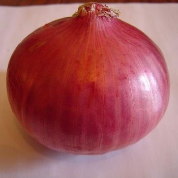FRESH RED ONION - AGRO AFRIQUE COMPANY LIMITED - Tanzania
