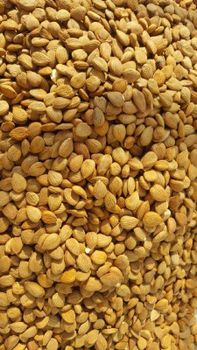 Apricot Kernels/Seeds  Max. Moisture (%) 6% Drying Process Natural sun - Selam foodstuff gida ltd - Turkey