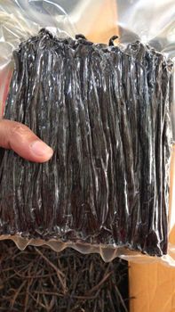 vanilla Beans planifolia from PT West Borneo Nusantara vanilla Beans planifolia - PT West Borneo Nusantara - Indonesia