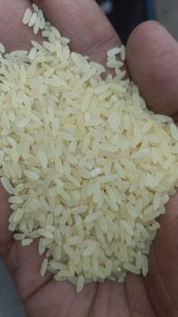 IR 64 Rice from TAEN LIFE IMPEX IR 64 Rice - TAEN LIFE IMPEX - India