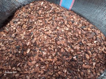 Cocoa Shells  - HOUSE Of TeeJudah Naturals (HOTN) LIMITED  - Nigeria