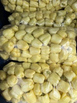 bell peppers Type on - CIOCAN FLOPAT PROMARK SRL - Romania
