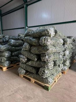 cucumbers Weight (kg) - CIOCAN FLOPAT PROMARK SRL - Romania
