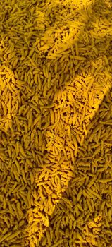 Turmeric finger  – product photo, Dried Turmeric Finger products found from trusted suppliers, wholesalers, manufacturers & exporters Listing