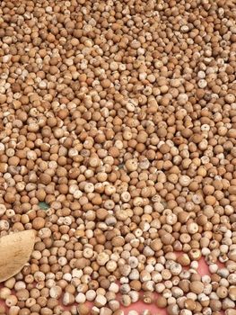 Betel nut Texture Natural Purity Sourcing Sustainable Farms Flavor Distinct Aroma, Deep Flavor Intended Use Traditional Use, Medicinal Applications, Daily Chewing - Marigold agro nusantara - Indonesia