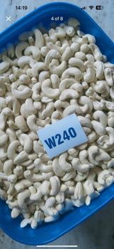 Cashew W240 Export Quality - ShivGauri EXIM ™ - India