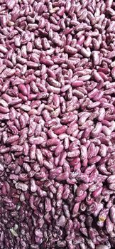 Red White Speckled Kidney Beans - Saba Agro Enterprise Uganda limited - Uganda