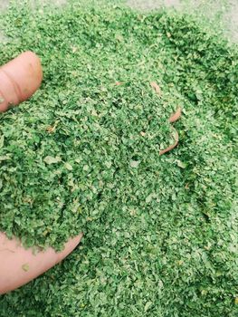 Parsley  Manufacturer Expert Max. Moisture (%) 5% Place of Origin Egypt Packaging As per customer request Quality Highest quality green - Expert herbs  - Egypt