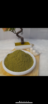 moringa powder - PT West Borneo Nusantara - Indonesia