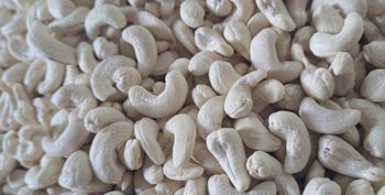 Cashew Nuts – product photo, Raw Cashew Nuts products found from trusted suppliers, wholesalers, manufacturers & exporters Listing