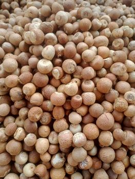 Betelnut  - PT. Hasil Kebun Tani Indonesia  - Indonesia
