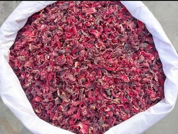 Hibiscus 