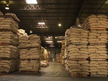 Granos de cacao from TRADE DOLLYR GROUP S.A.S. Granos de cacao – product photo, Theobroma Cacao Beans products found from trusted suppliers, wholesalers, manufacturers & exporters Listing