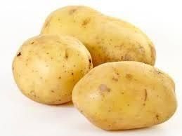 Ganula Potatoes Yield High Yield Packaging Standard Starch Content Low Water Content High Texture Firm And Creamy Processing Flavor Sweeter After Processing - Dream Bangladesh  - Bangladesh